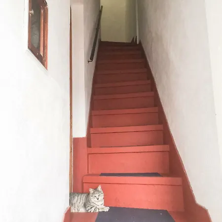 Δωμάτια σε οικογενειακή κατοικία En Cruz.